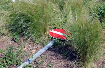 the red city road stop sign is knocked down and broken and lies in the thick green grass