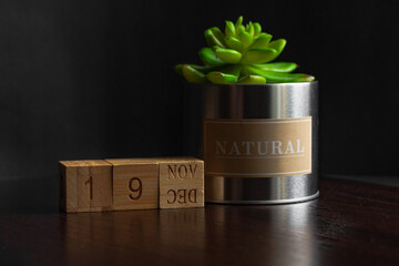 November 19. Image of the calendar November 19 wooden cubes and an artificial plant on a brown wooden table reflection and black background. with empty space for text