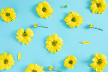 Bright  pattern made of yellow daisy flowers on a blue background. Flat lay minimal creative wallpaper design.