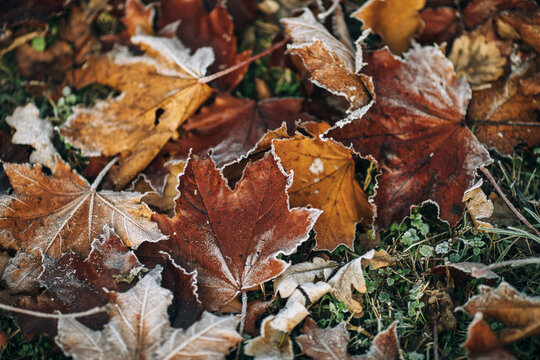 Cold morning