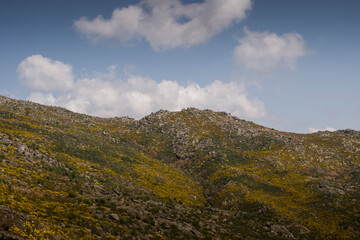 Mountain landscape of highland and meadows