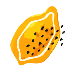 vector trendy bright color illustration of hand drawn mango fruit isolated on white background. can be used as an advertisement for fruits, fruit juices, for various types of printing, design elements