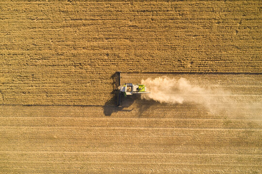 Bird's Eye View of Header Harvesting