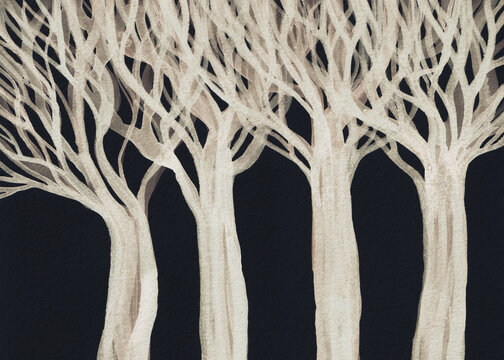 The Forest For The Trees