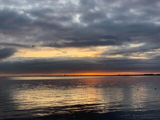 painting with the camera