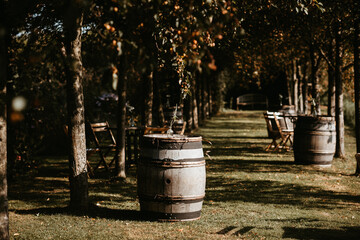garden with wooden wine barrels and folding chairs for wedding reception