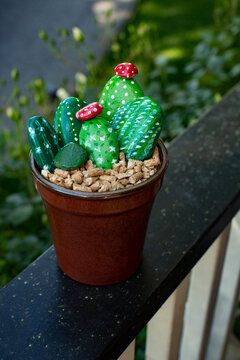 DIY Rock Cactus