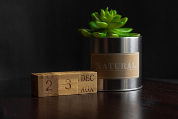 December 23. Image of the calendar December 23 wooden cubes and an artificial plant on a brown wooden table reflection and black background. with empty space for text