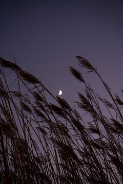 Beautiful landscape view of countryside during sunset with moon rising in the sky