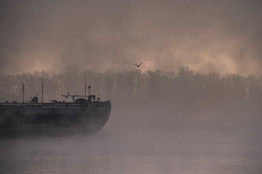 Empty cargo ships covered with fog in the shipyard