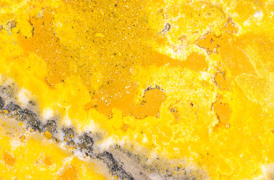 Bumblebee Jasper Closeup