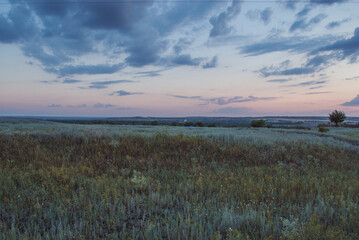 Fototapeta premium Beautiful summer sunset. Beautiful sky.In the countryside
