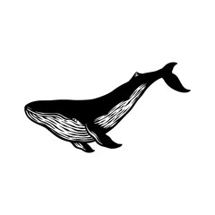 whale fish silhouette vector hand drawn