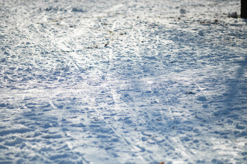 traces of bicycles and sleds in winter snow