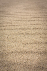 texture of sand
