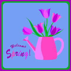 Welcome spring, tulips in a watercan.
