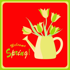 Welcome spring, tulips in a watercan.