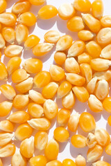 Corn kernels on a white background