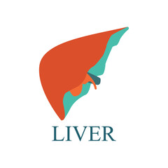Fototapeta na wymiar icons of body organs, liver on a white background, vector illustration