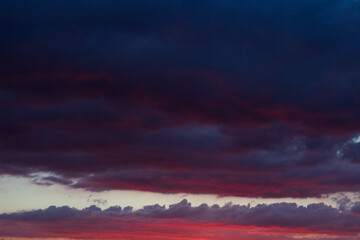 sunset, the sun is hiding behind the trees. The sky is painted orange and pink, the silhouettes of...