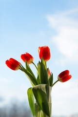 Bouquet red tulips standing in vase against blue sky on sunny day. Bunch of beautiful spring flowers. Vertical photo.
