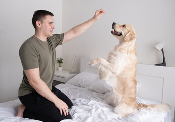 A young man is playing on the bed with a dog. Guy with companion golden retriever sitting at home