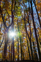 Passeggiata e Trekking all'aria aperta sul Monte Faito in Costiera Sorrentina