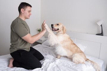 A young man is playing on the bed with a dog. Guy with companion golden retriever sitting at home