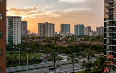Fototapeta na wymiar Miami city urban view with palms and houses at sunset, Florida, USA