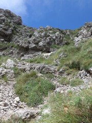 Passeggiata e Trekking all'aria aperta sul Monte Faito in Costiera Sorrentina