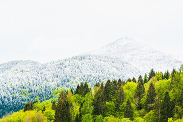 Fototapeta premium Ancient landscapes of Carnia. Between spring and winter in Sutrio. Carnia