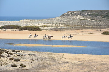 beach and sea