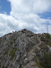 Passeggiata e Trekking all'aria aperta sul Monte Faito in Costiera Sorrentina