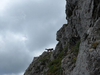 Passeggiata e Trekking all'aria aperta sul Monte Faito in Costiera Sorrentina