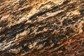 Yellow stone texture, close up. Perfect natural background