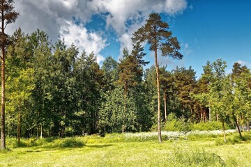 various nature landscape places at the daytime