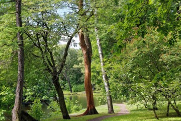 various nature landscape places at the daytime