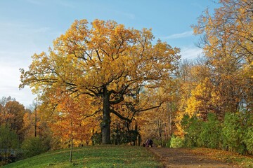 various nature landscape places at the daytime