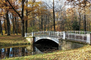 various nature landscape places at the daytime