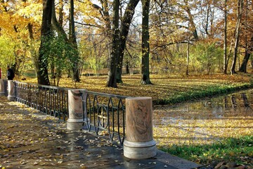 various nature landscape places at the daytime