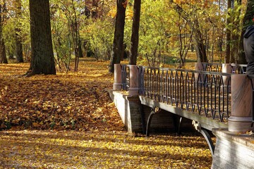 various nature landscape places at the daytime