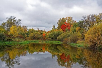 various nature landscape places at the daytime