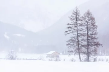 Fotobehang Snow blizzard in the Tures valley. © Nicola Simeoni