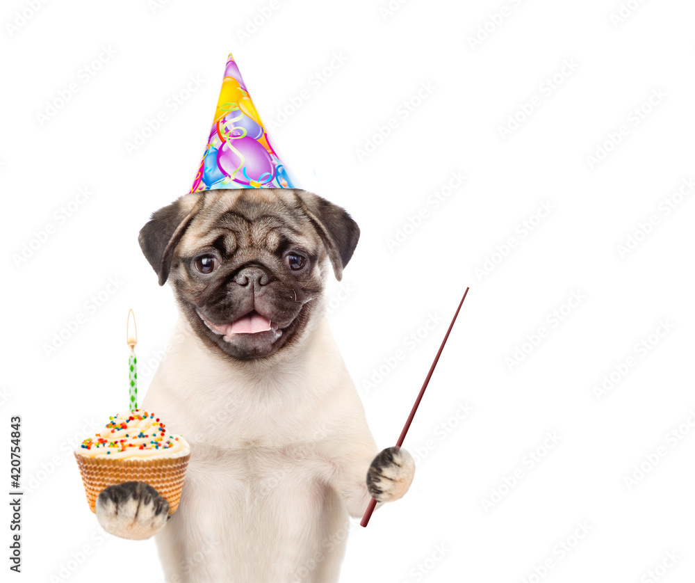 Poster Pug puppy wearing a party cap holds cupcake with candle and points away on empty space. isolated on white background