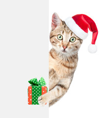 Adult cat wearing a red christmas hat holds gift box behind empty white banner. isolated on white background