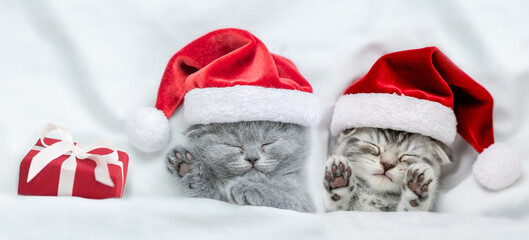 Two cute kittens wearing red santa's hats sleep with gift box under a white blanket on a bed. Top...