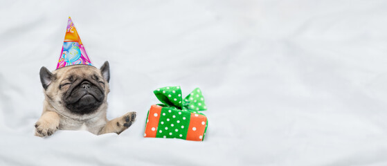 Pug puppy wearing birthday cap sleeps with gift box under white warm blanket on a bed at home. Top...