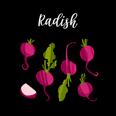 Fresh radish with tops. Healthy nutrition product.