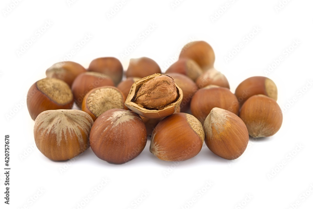 Wall mural hazelnuts isolated on white background