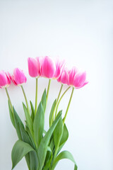 Bouquet of pink tulips on pink background on light background. Spring flower. Mothers day, Valentines Day, Birthday concept